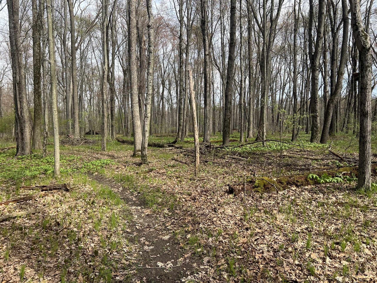 Waterloo Munith Road, Grass Lake, MI, 49240-49240