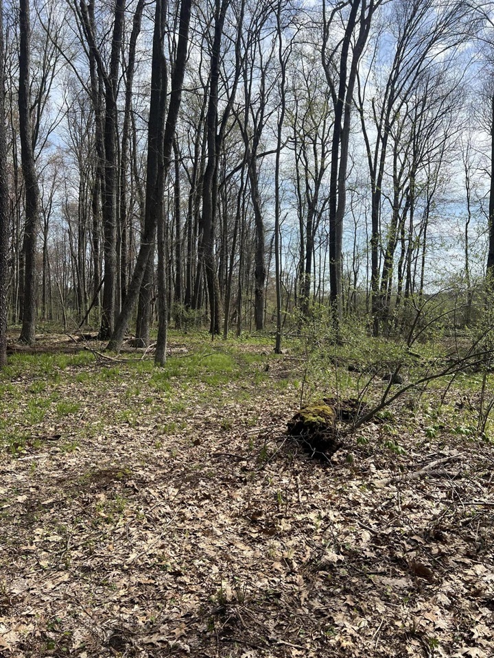 Waterloo Munith Road, Grass Lake, MI, 49240-49240