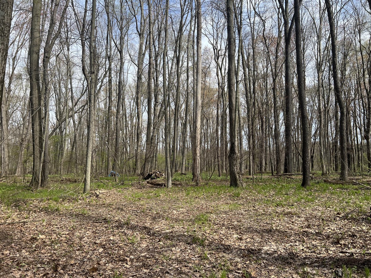 Waterloo Munith Road, Grass Lake, MI, 49240-49240