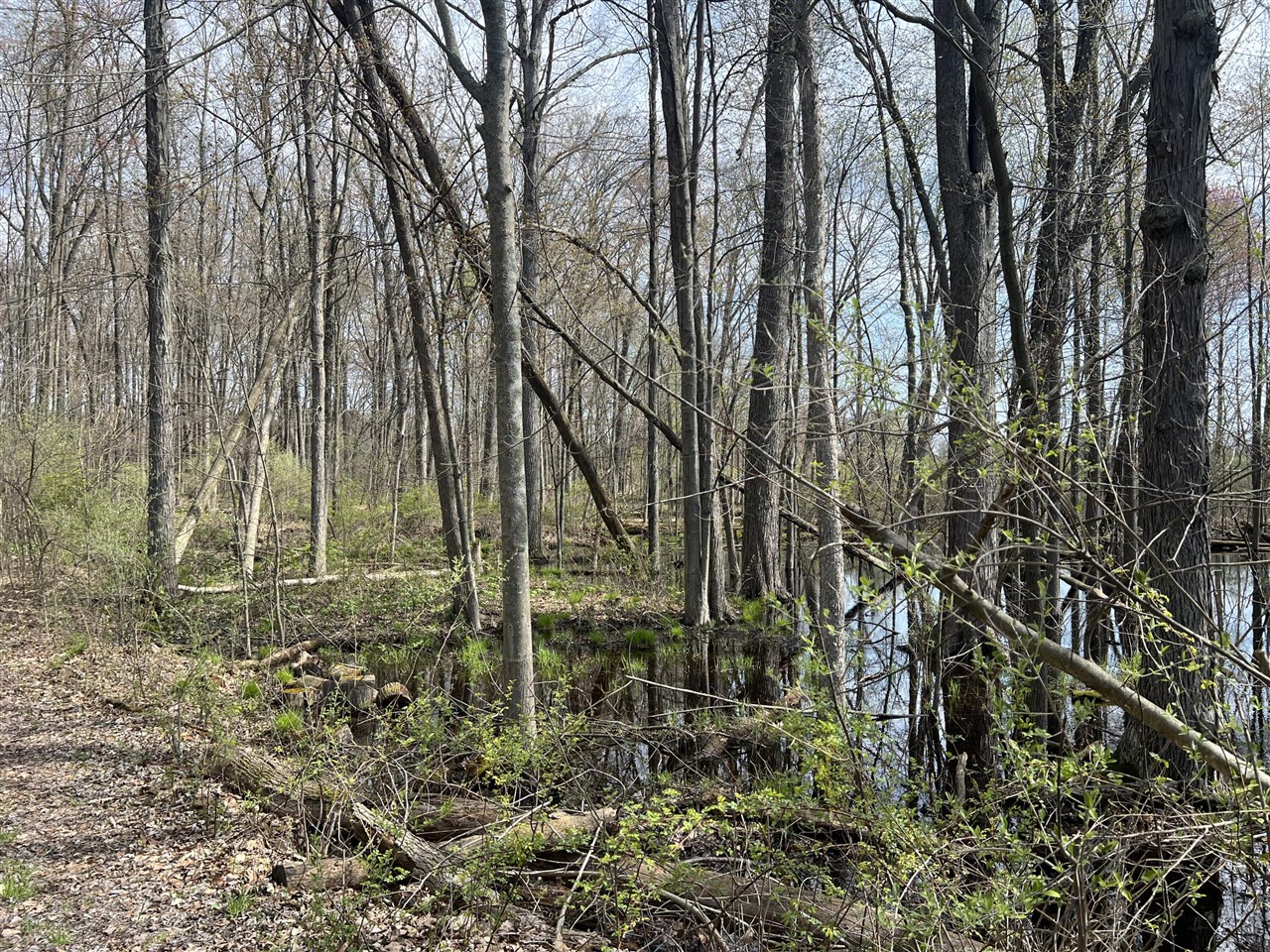 Waterloo Munith Road, Grass Lake, MI, 49240-49240