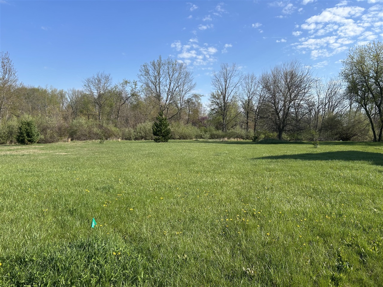 280 Canfield Street, Milan, MI, 48160-1635