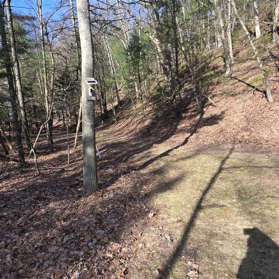 5875 W Michigan Avenue, Pentwater, MI, 49449-8906