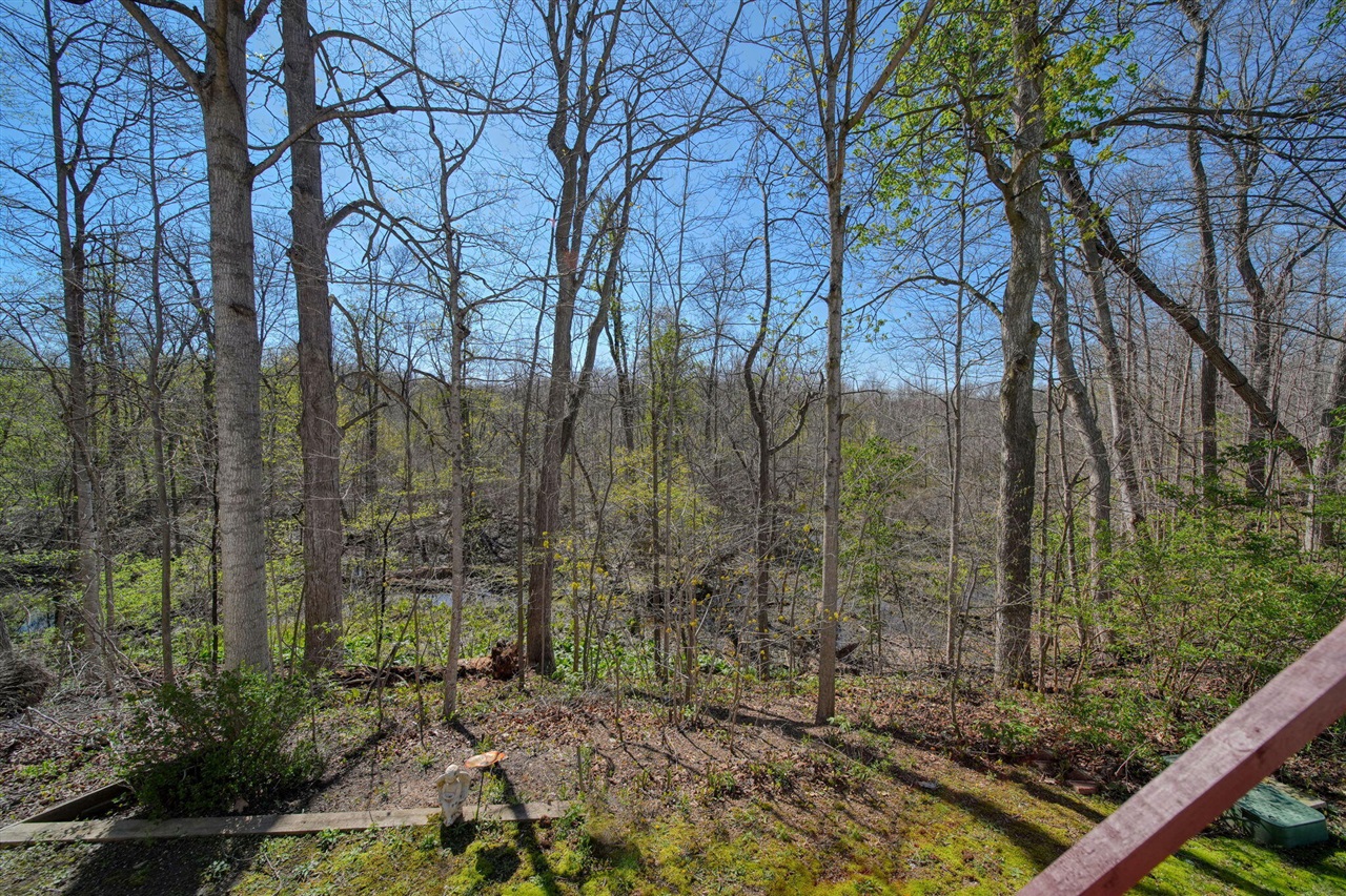 448 Raisin River Drive, Adrian, MI, 49221