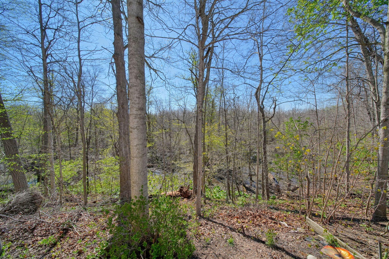 448 Raisin River Drive, Adrian, MI, 49221