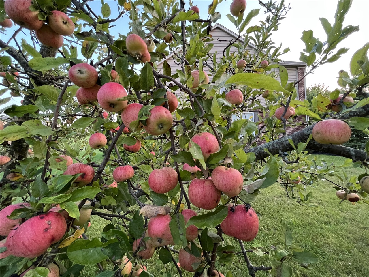 7615 Abigail Drive, Ypsilanti, MI, 48198-7601