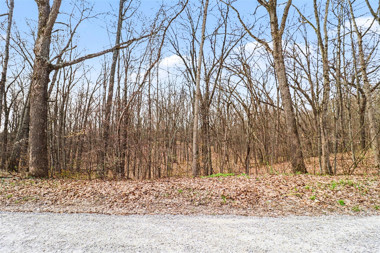 2nd image of 6920 19 Mile Rd, Cedar Springs, MI 49319 | MLS# 70526885