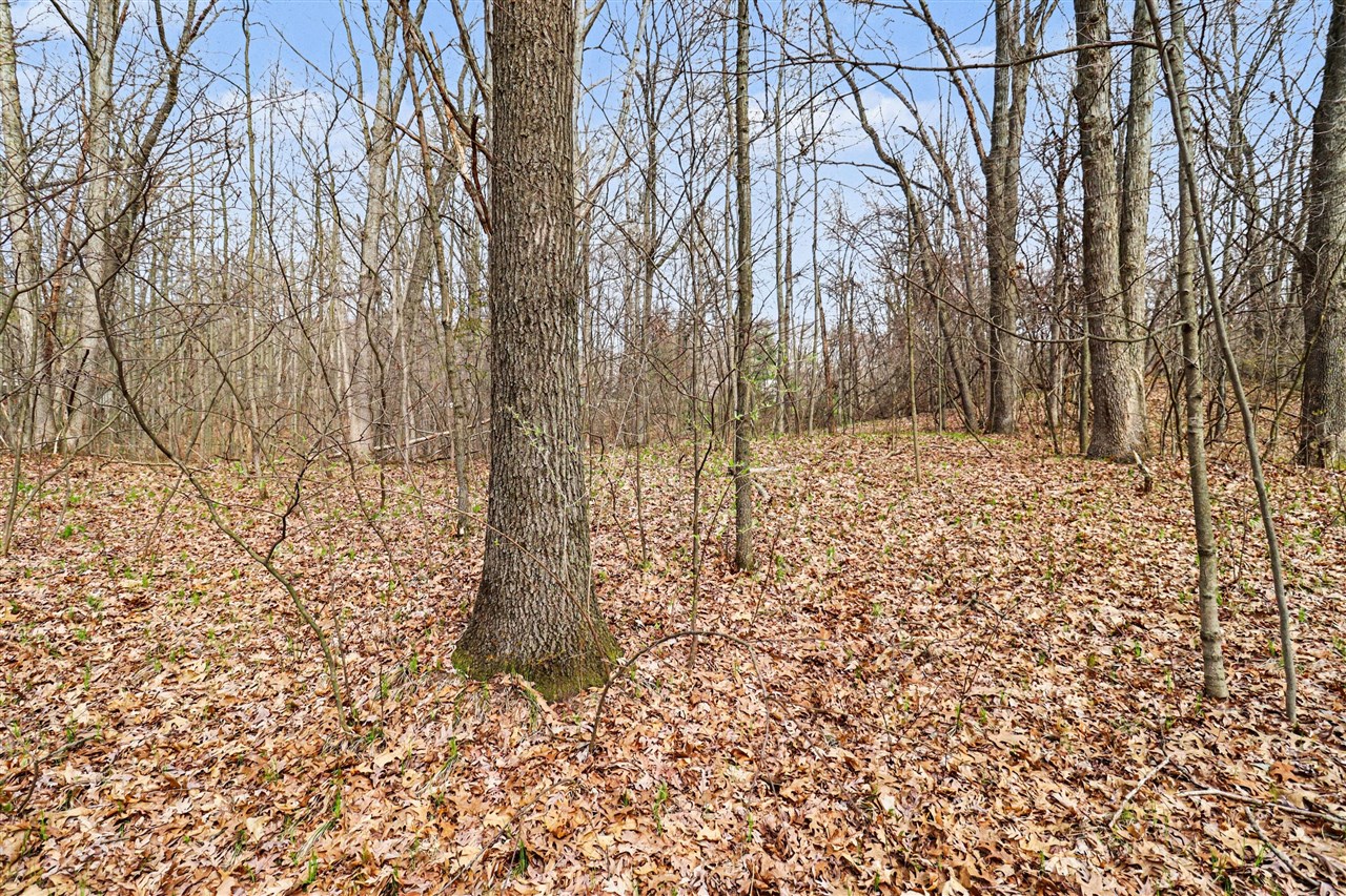 3rd image of 6920 19 Mile Rd, Cedar Springs, MI 49319 | MLS# 70526885