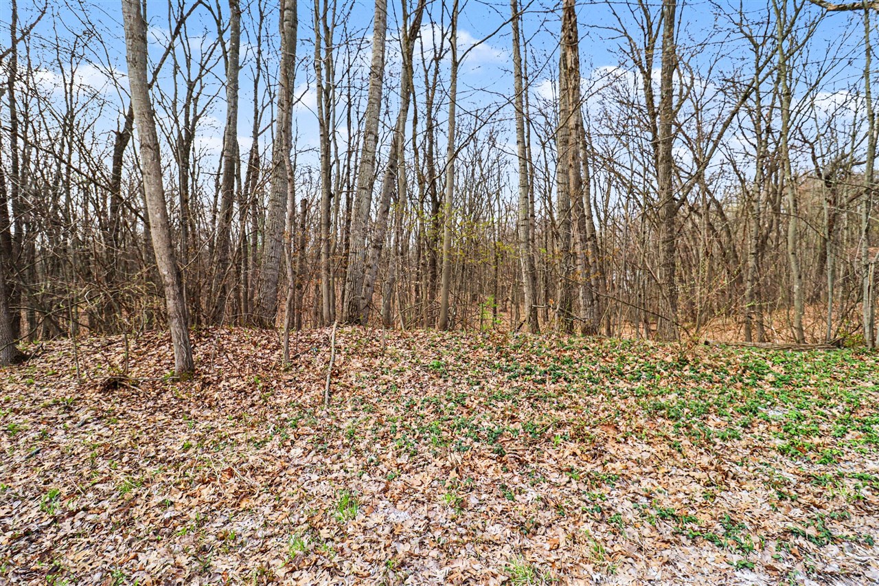 9th image of 6920 19 Mile Rd, Cedar Springs, MI 49319 | MLS# 70526885
