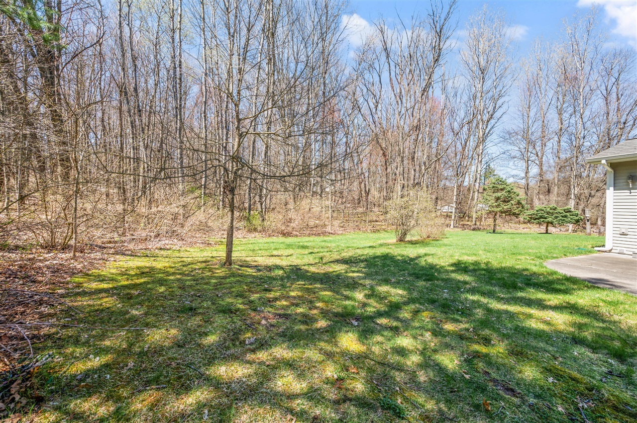 17190 Apollo Drive, Big Rapids, MI, 49307-9573