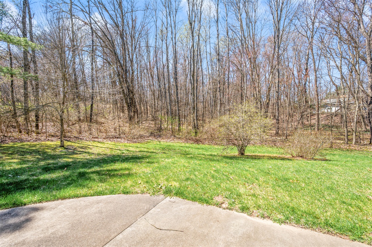 17190 Apollo Drive, Big Rapids, MI, 49307-9573