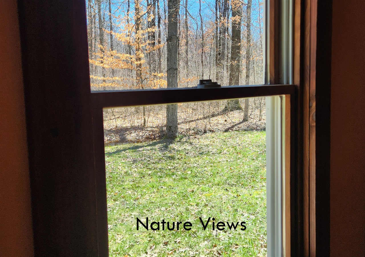 2570 S Walnut Avenue, White Cloud, MI, 49349-9332