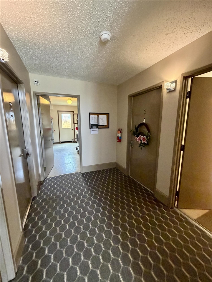 682 W Middle Street UNIT&nbsp;UNIT&nbsp;#4, Chelsea, MI, 48118-1318