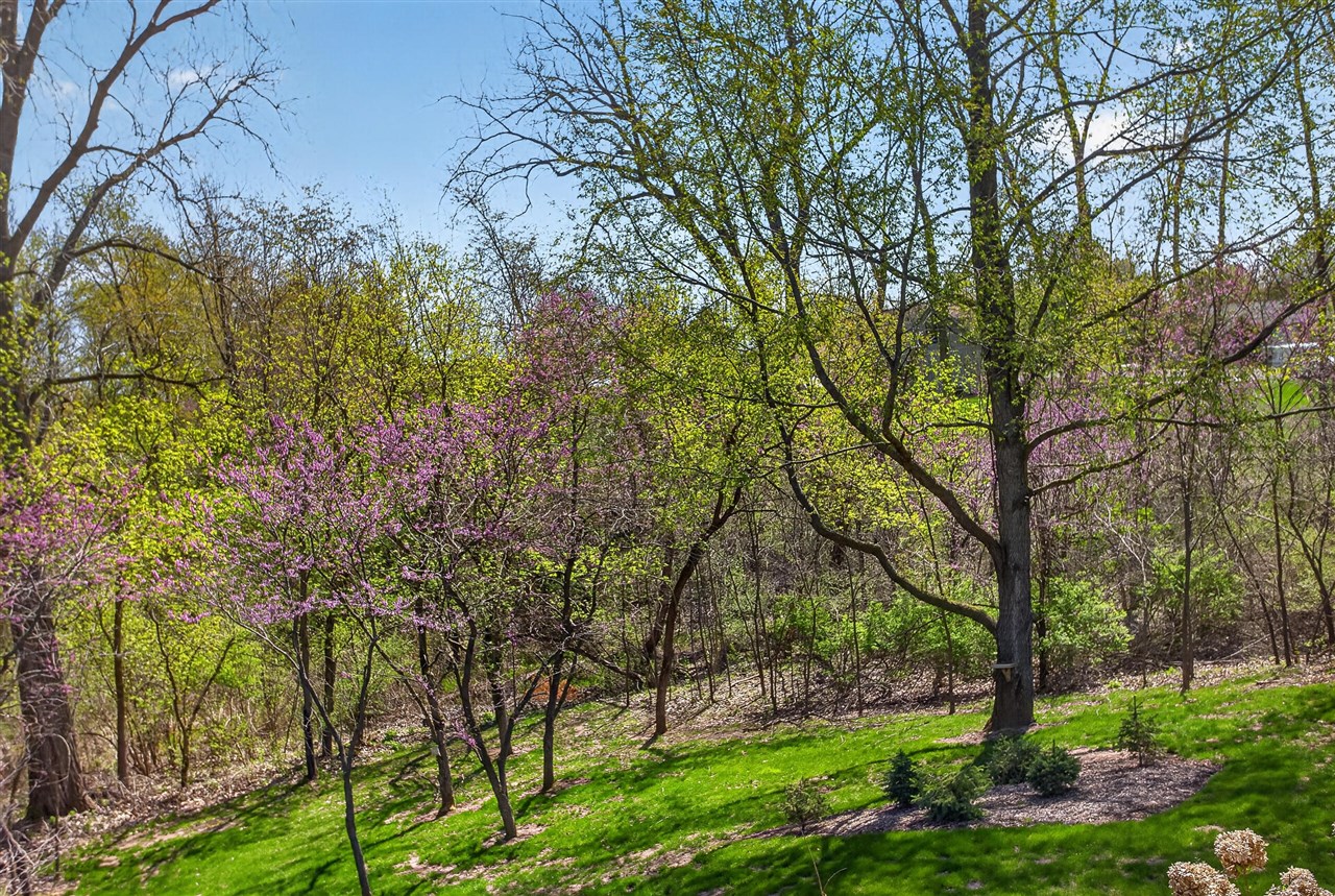 14840 Killorglin Lane, Cement City, MI, 49233