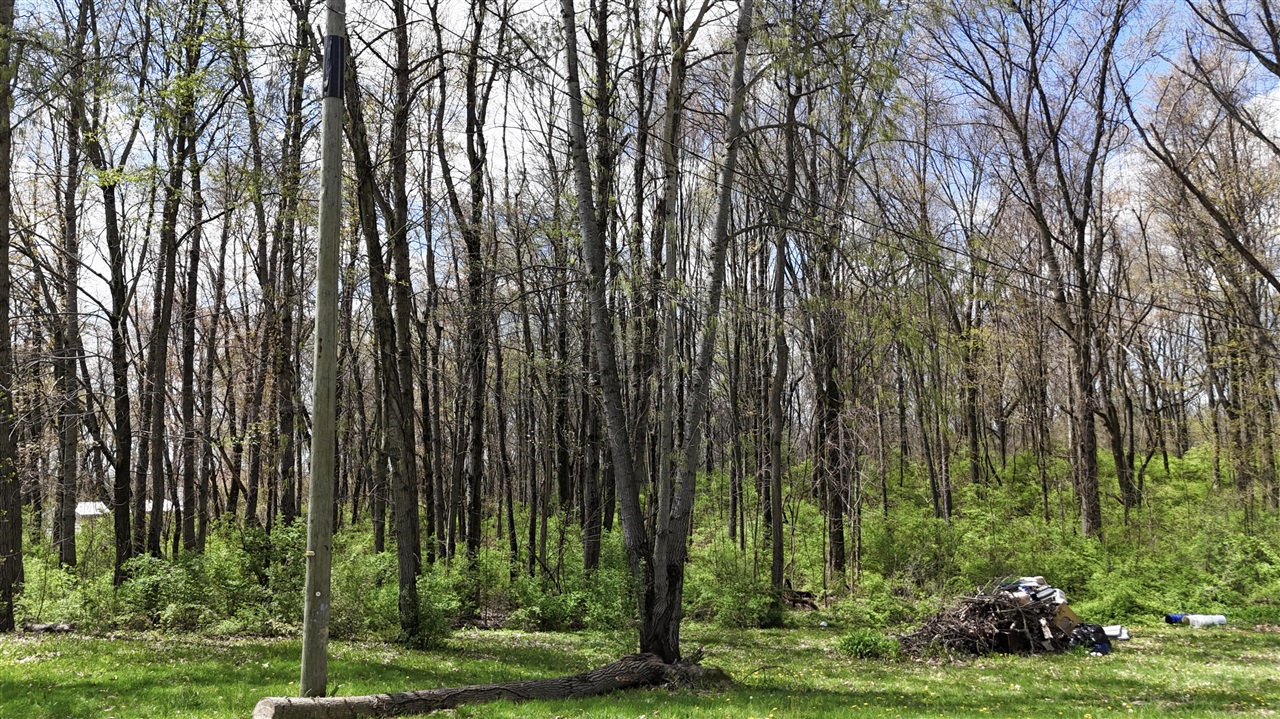 56896 Sunnyside Avenue, Cassopolis, MI, 49031-9740