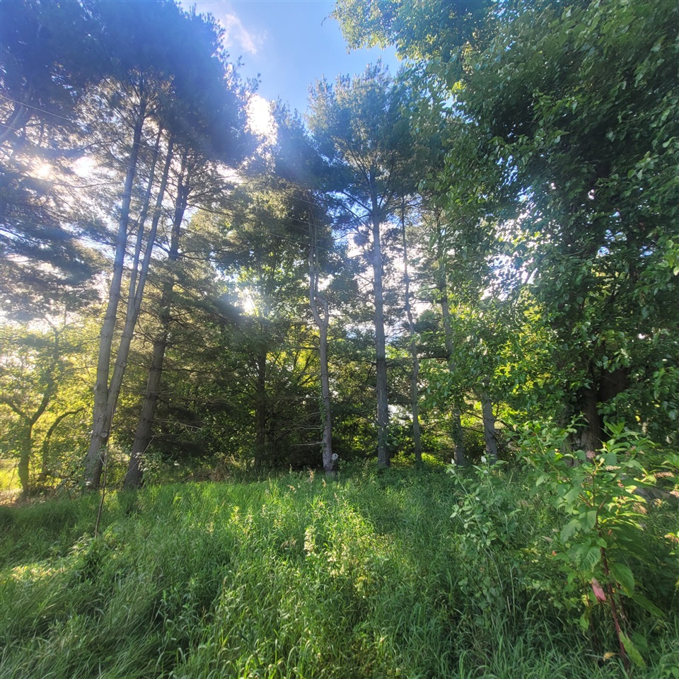 6797 Devils Lake Highway, Manitou Beach, MI, 49253