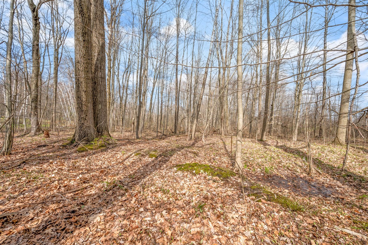 4700 Airstrip Drive, Barryton, MI, 49305