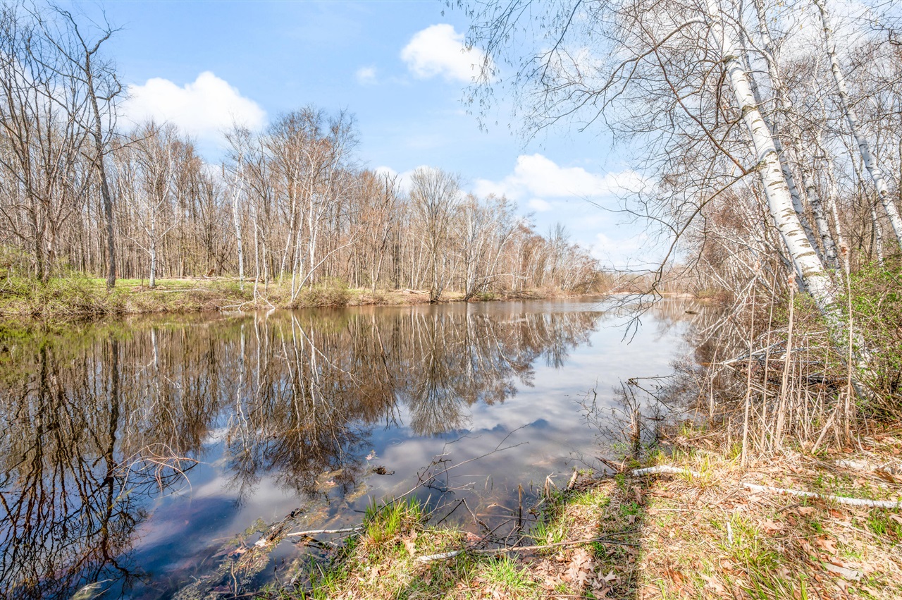 4700 Airstrip Drive, Barryton, MI, 49305