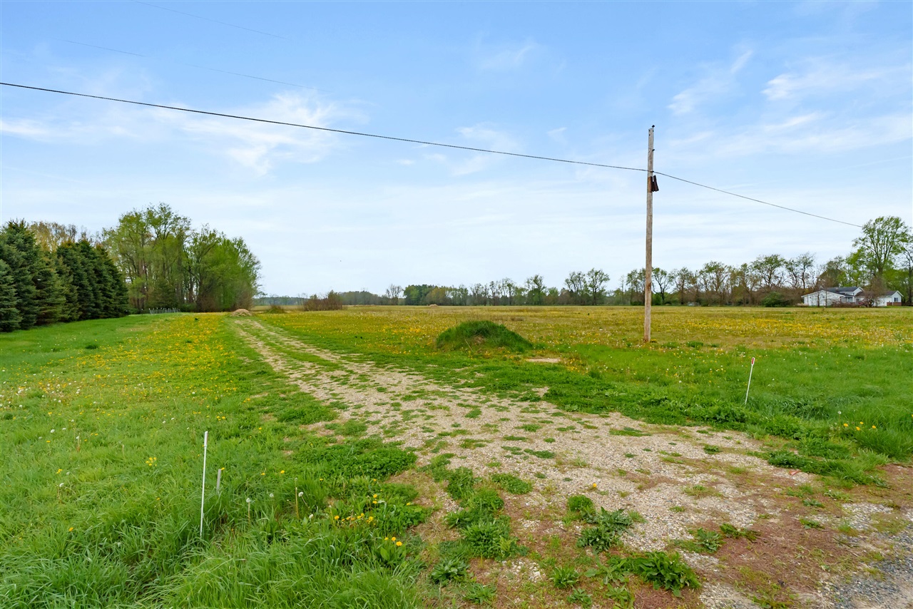 Megan Webster Featured Listings