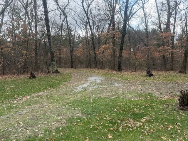 6136 S Poplar Avenue, Newaygo, MI, 49337-9058