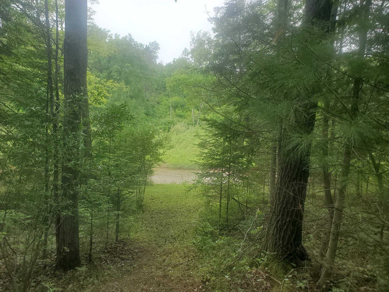 Eagles Nest Way, Gladwin, MI, 48624