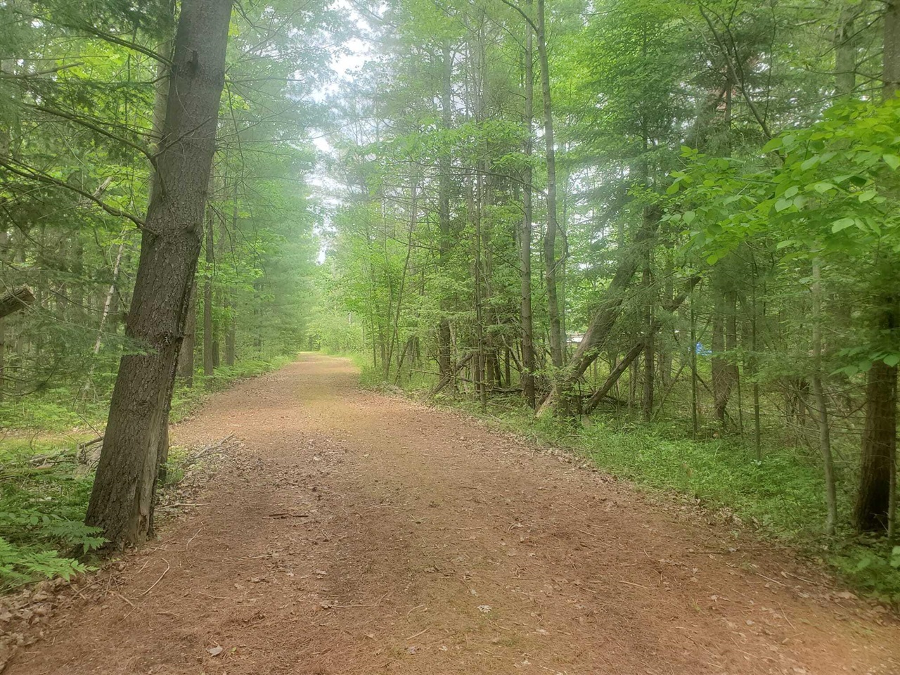 Eagles Nest Way, Gladwin, MI, 48624