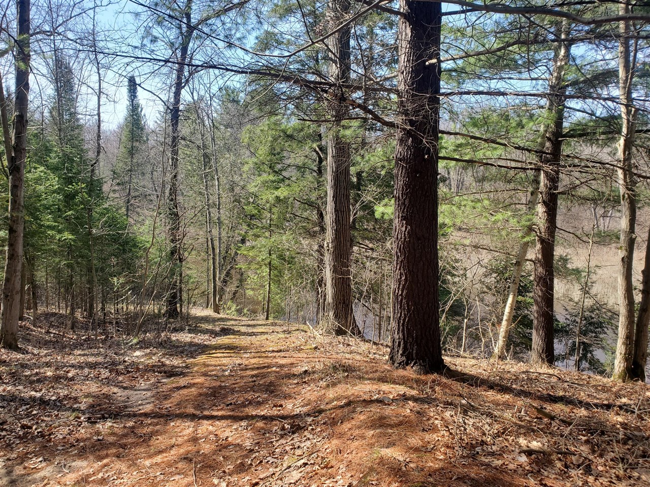 Eagles Nest Way, Gladwin, MI, 48624
