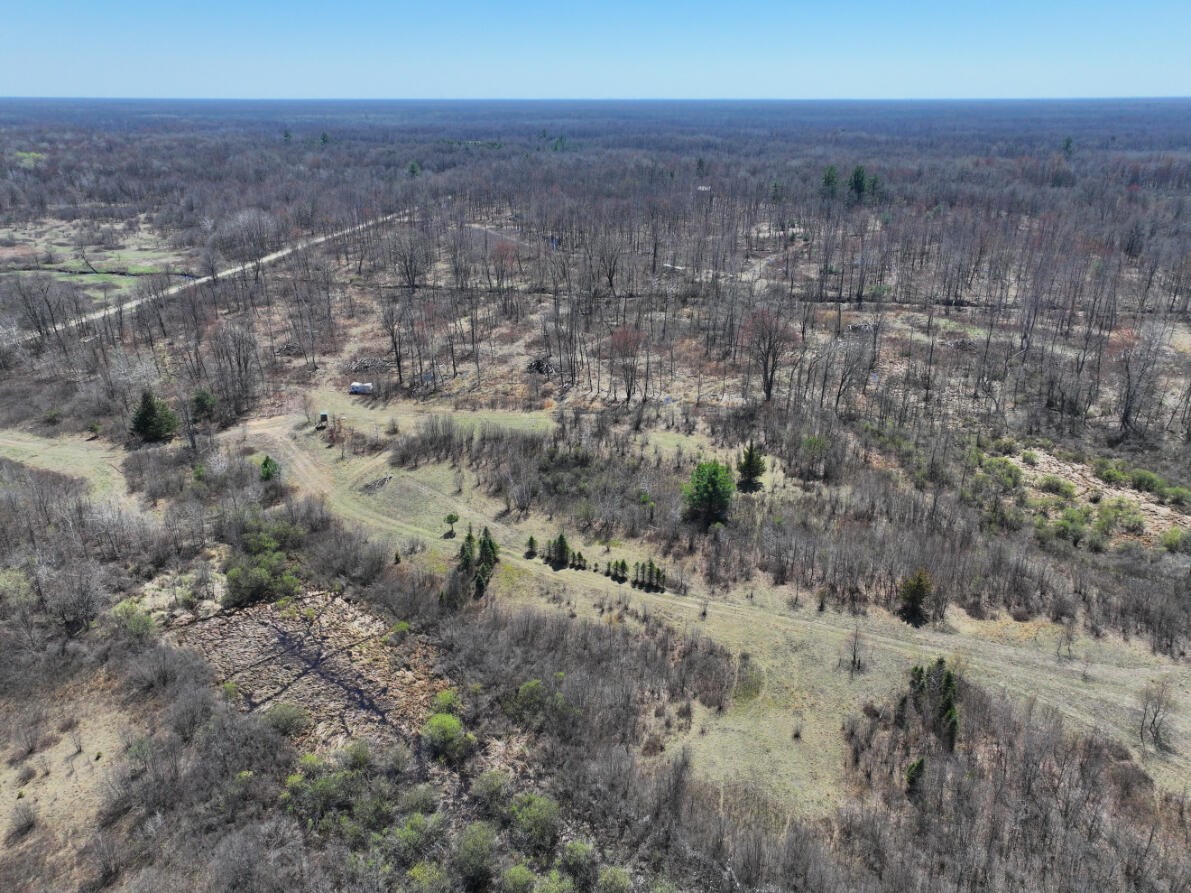 V/L 10A P4 N Magruder Road, Coleman, MI, 48618