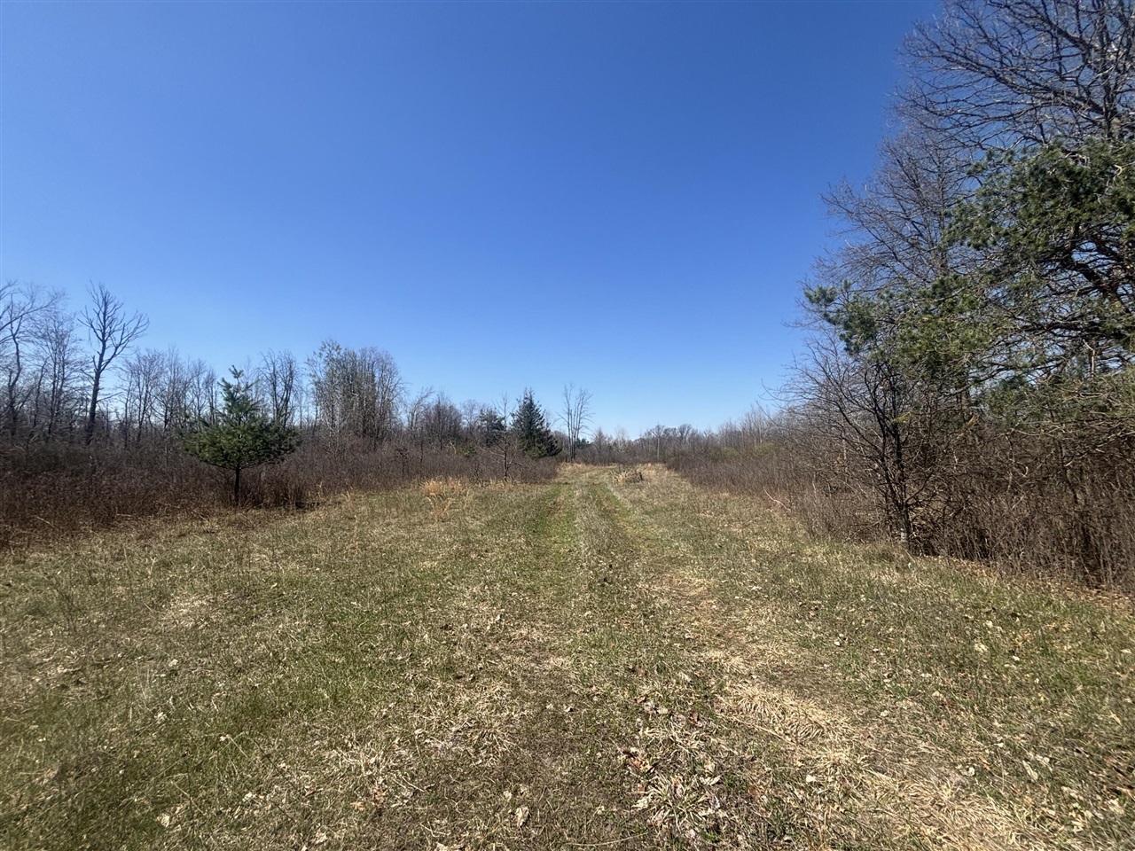 V/L 10A P4 N Magruder Road, Coleman, MI, 48618