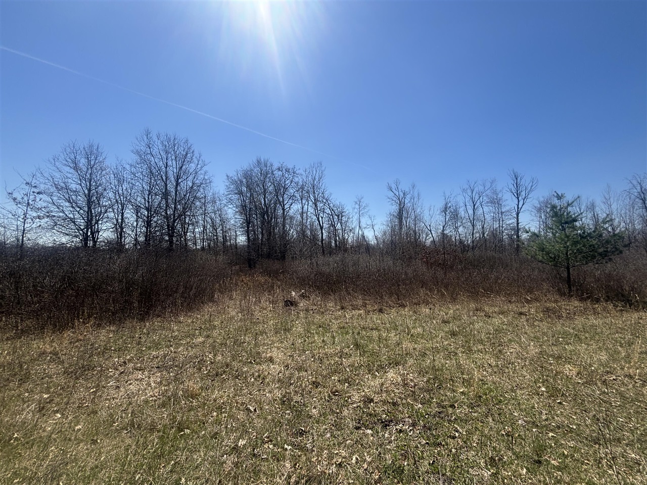 V/L 10A P4 N Magruder Road, Coleman, MI, 48618