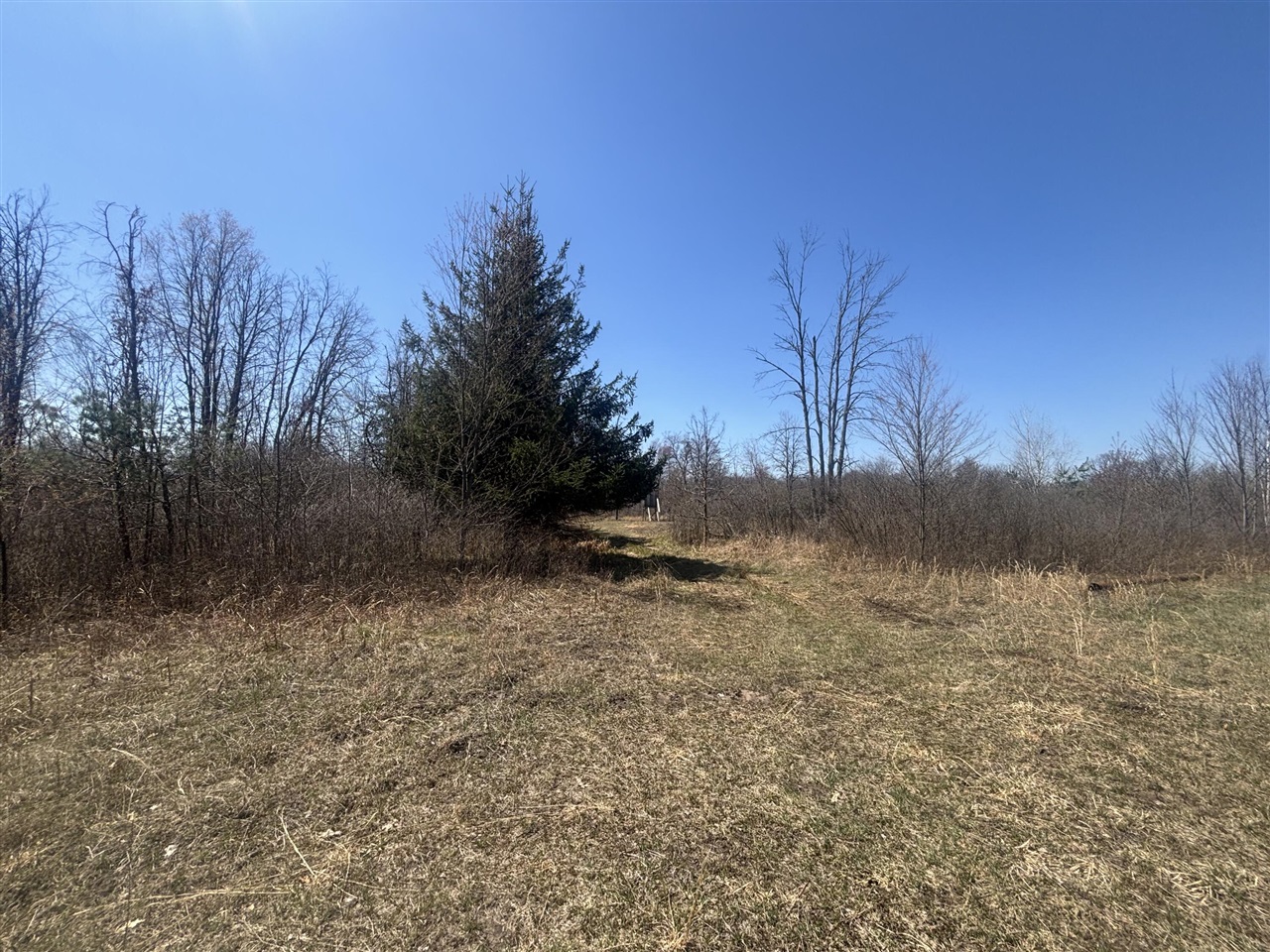V/L 10A P4 N Magruder Road, Coleman, MI, 48618