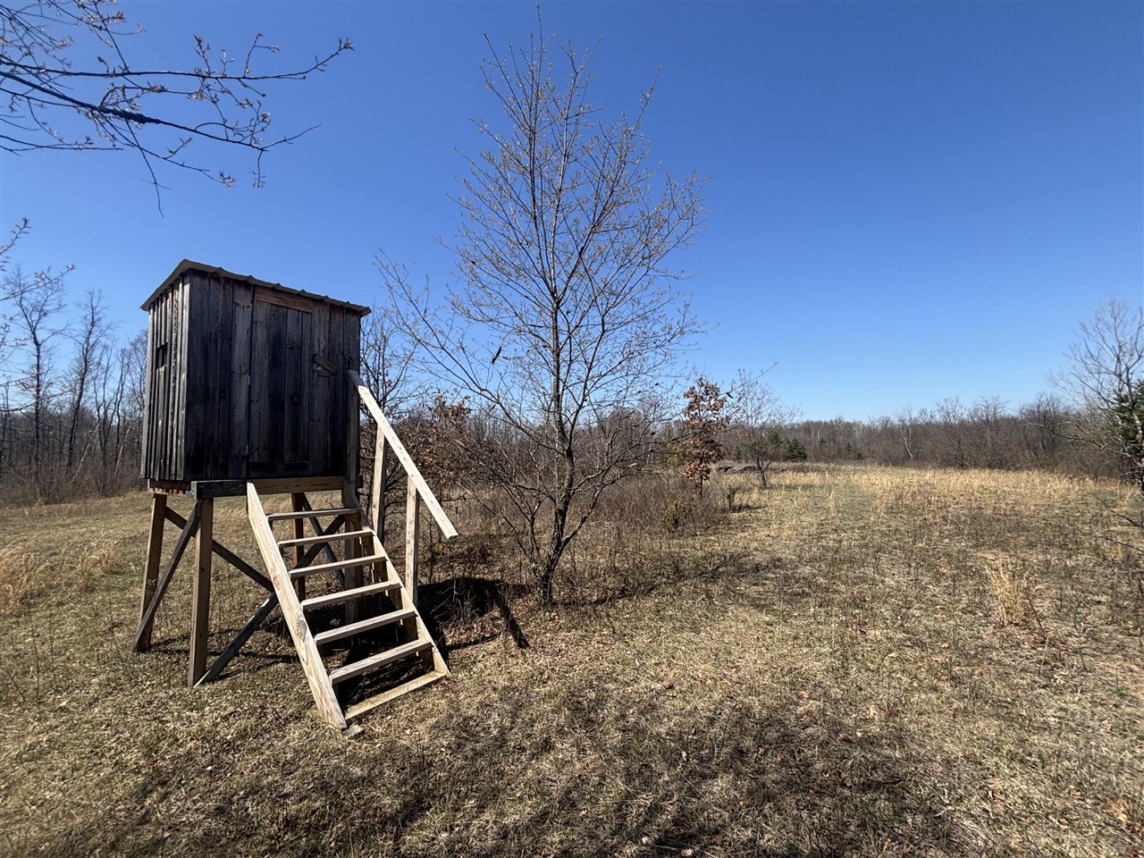 V/L 10A P4 N Magruder Road, Coleman, MI, 48618