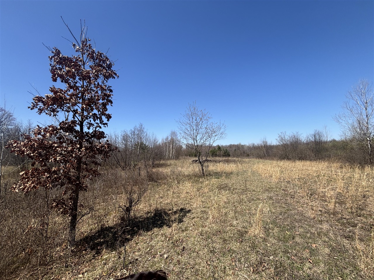 V/L 10A P4 N Magruder Road, Coleman, MI, 48618