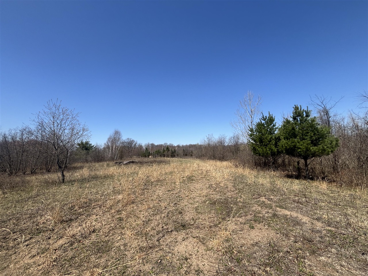V/L 10A P4 N Magruder Road, Coleman, MI, 48618