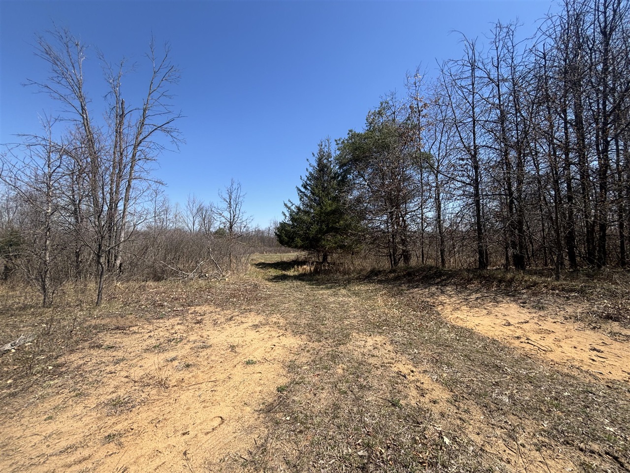 V/L 10A P4 N Magruder Road, Coleman, MI, 48618