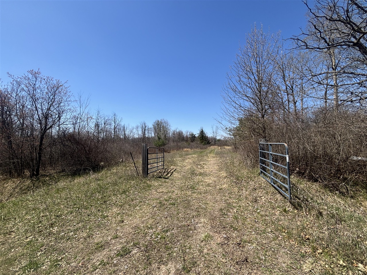 V/L 10A P4 N Magruder Road, Coleman, MI, 48618