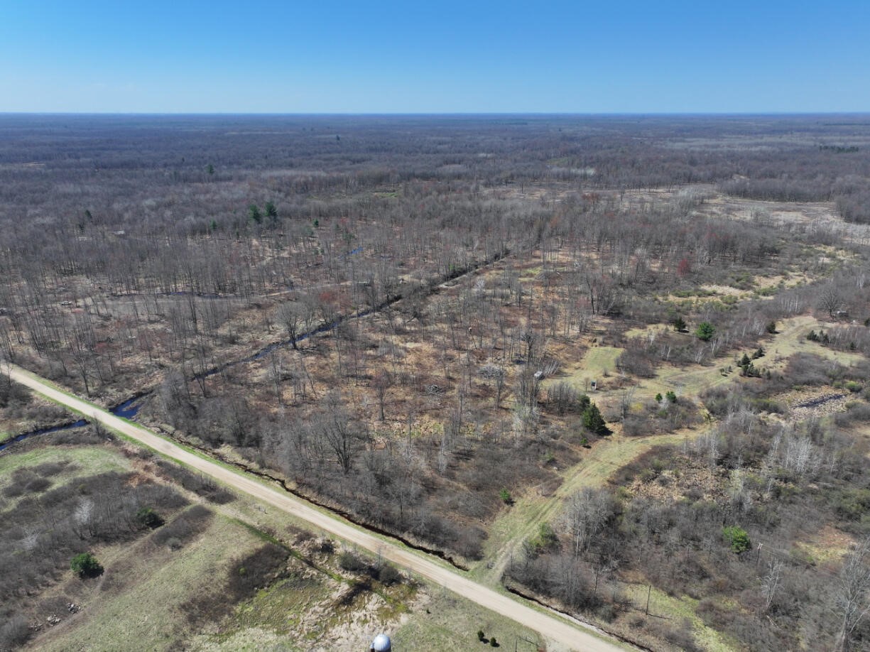V/L 10A P4 N Magruder Road, Coleman, MI, 48618