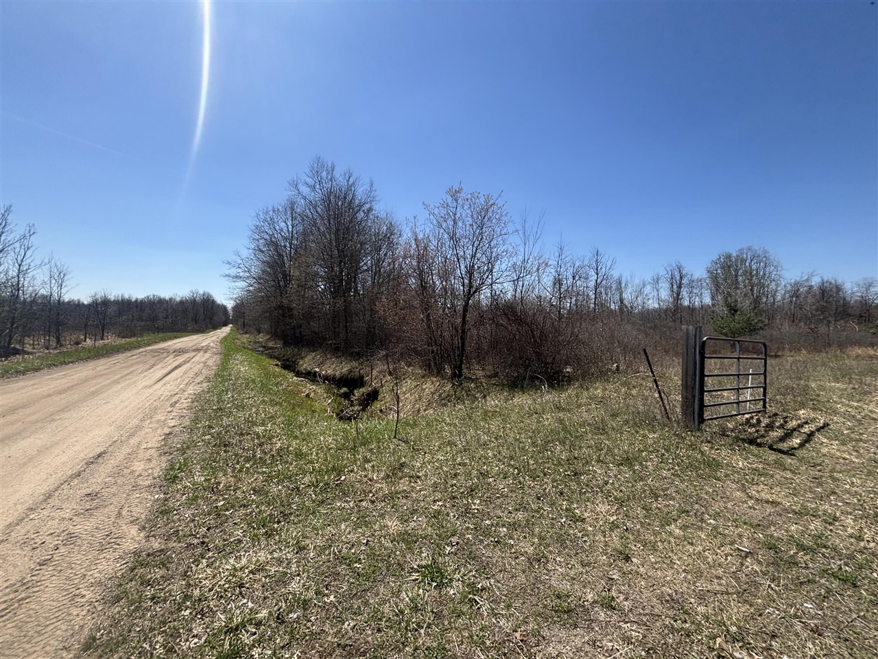 V/L 10A P4 N Magruder Road, Coleman, MI, 48618
