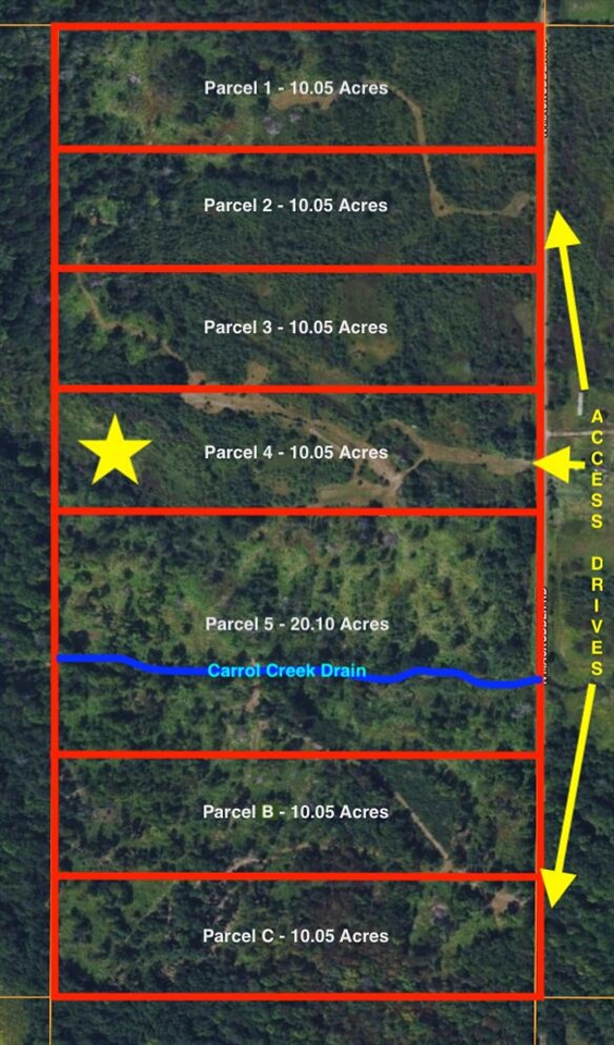 V/L 10A P4 N Magruder Road, Coleman, MI, 48618