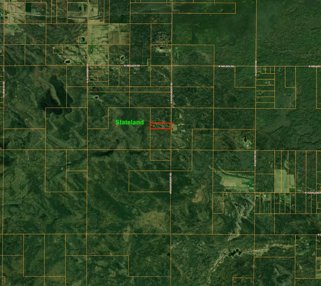 V/L 10A P4 N Magruder Road, Coleman, MI, 48618