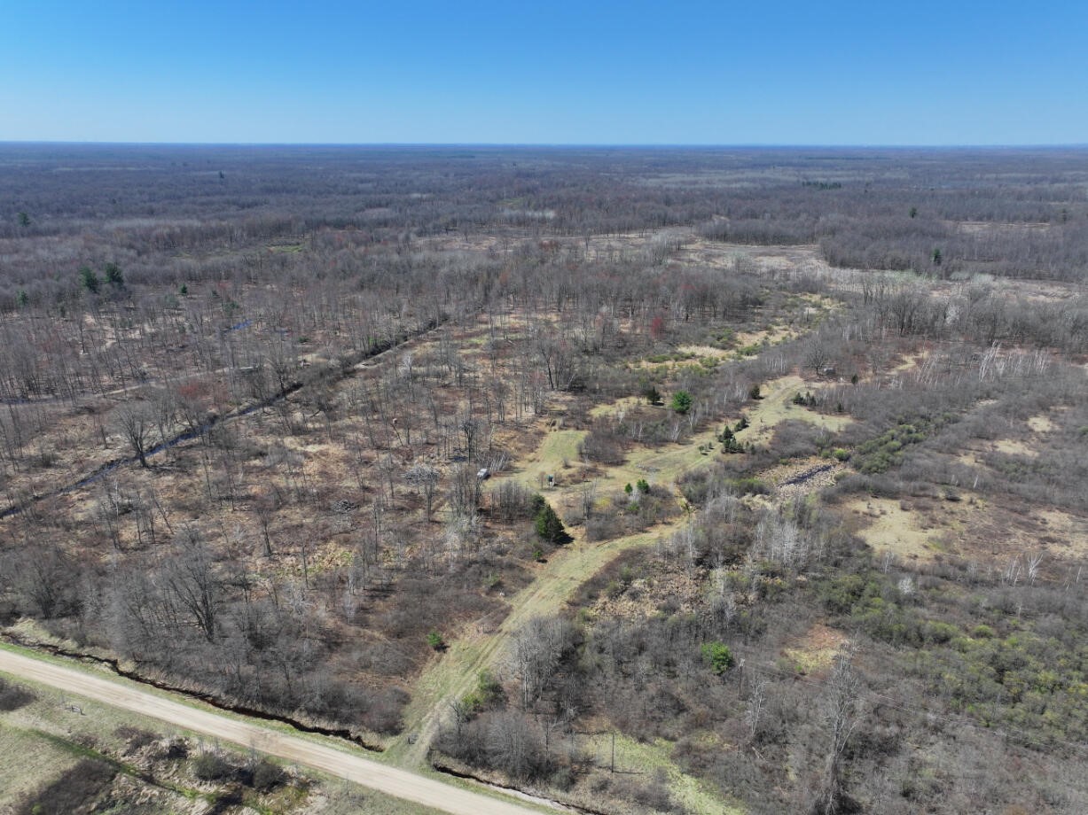 V/L 10A P4 N Magruder Road, Coleman, MI, 48618