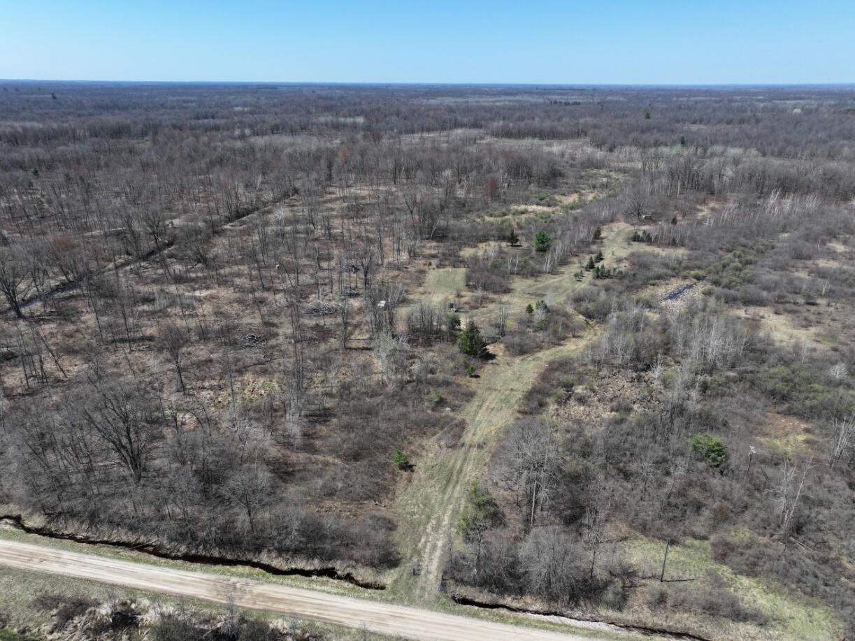V/L 10A P4 N Magruder Road, Coleman, MI, 48618