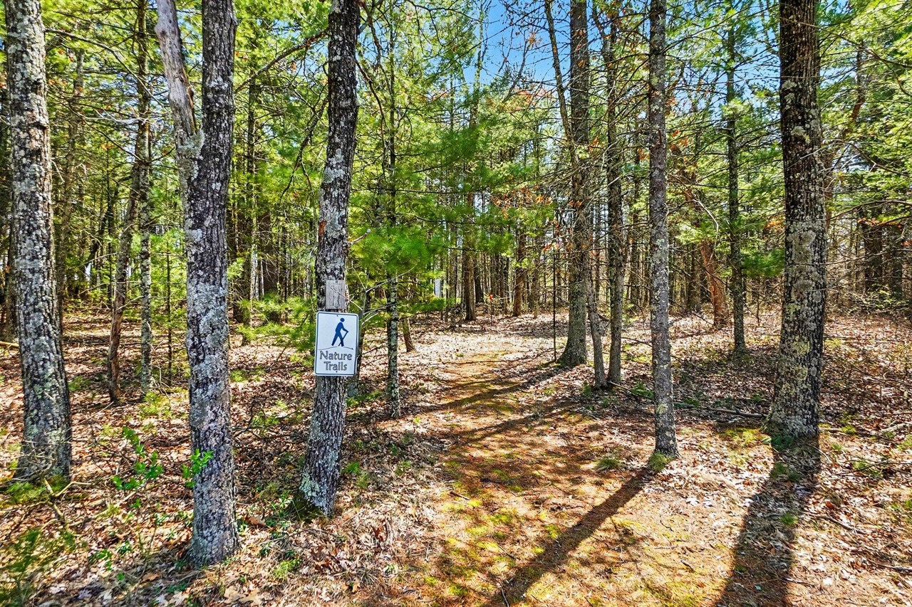 4950 S Ojibwe, Newaygo, MI, 49337-8747