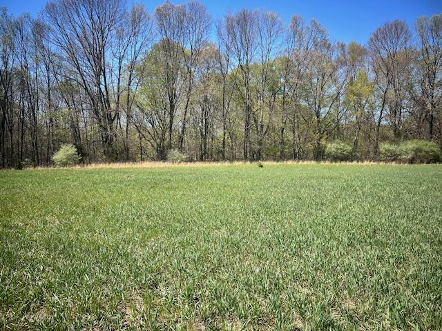 Parcel 1 70th Street, South Haven, MI, 49090