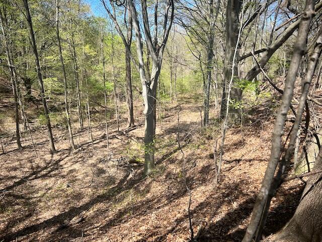 Parcel 1 70th Street, South Haven, MI, 49090