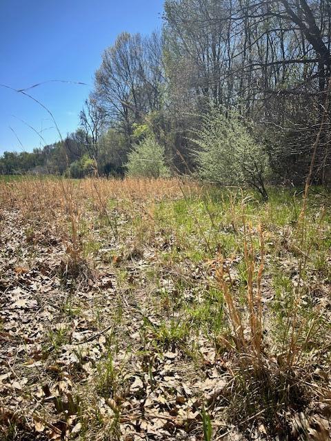 Parcel 1 70th Street, South Haven, MI, 49090