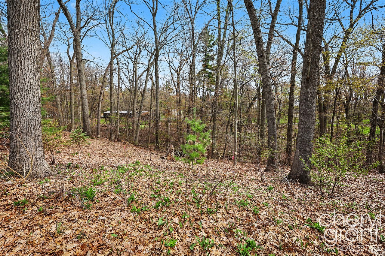 7406 Ravine Drive, Belding, MI, 48809-9336