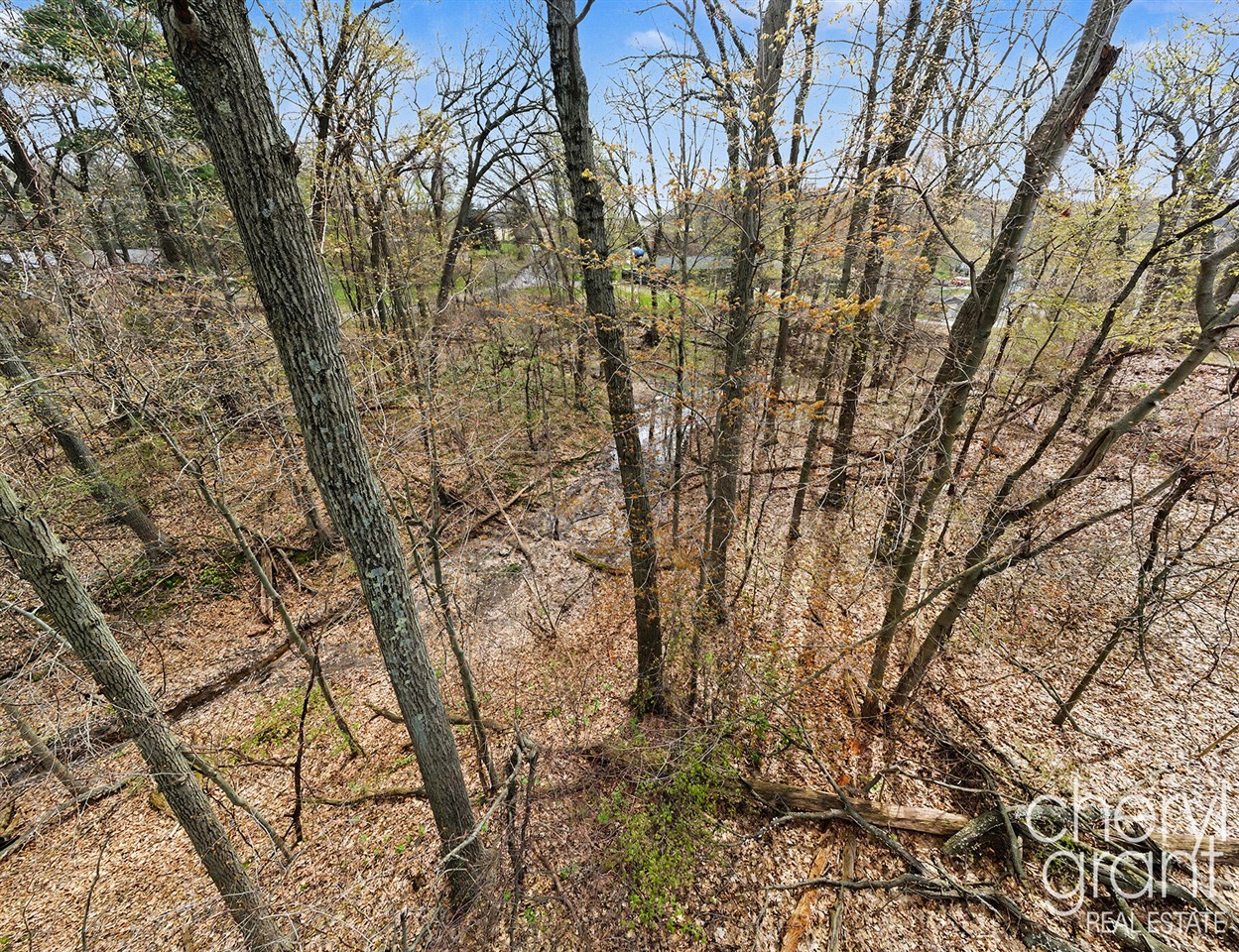 7406 Ravine Drive, Belding, MI, 48809-9336