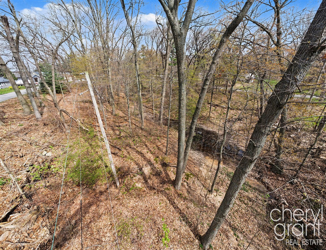 7406 Ravine Drive, Belding, MI, 48809-9336