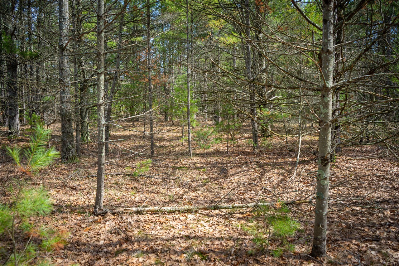 V/L Hyde Park Road, Whitehall, MI, 49461