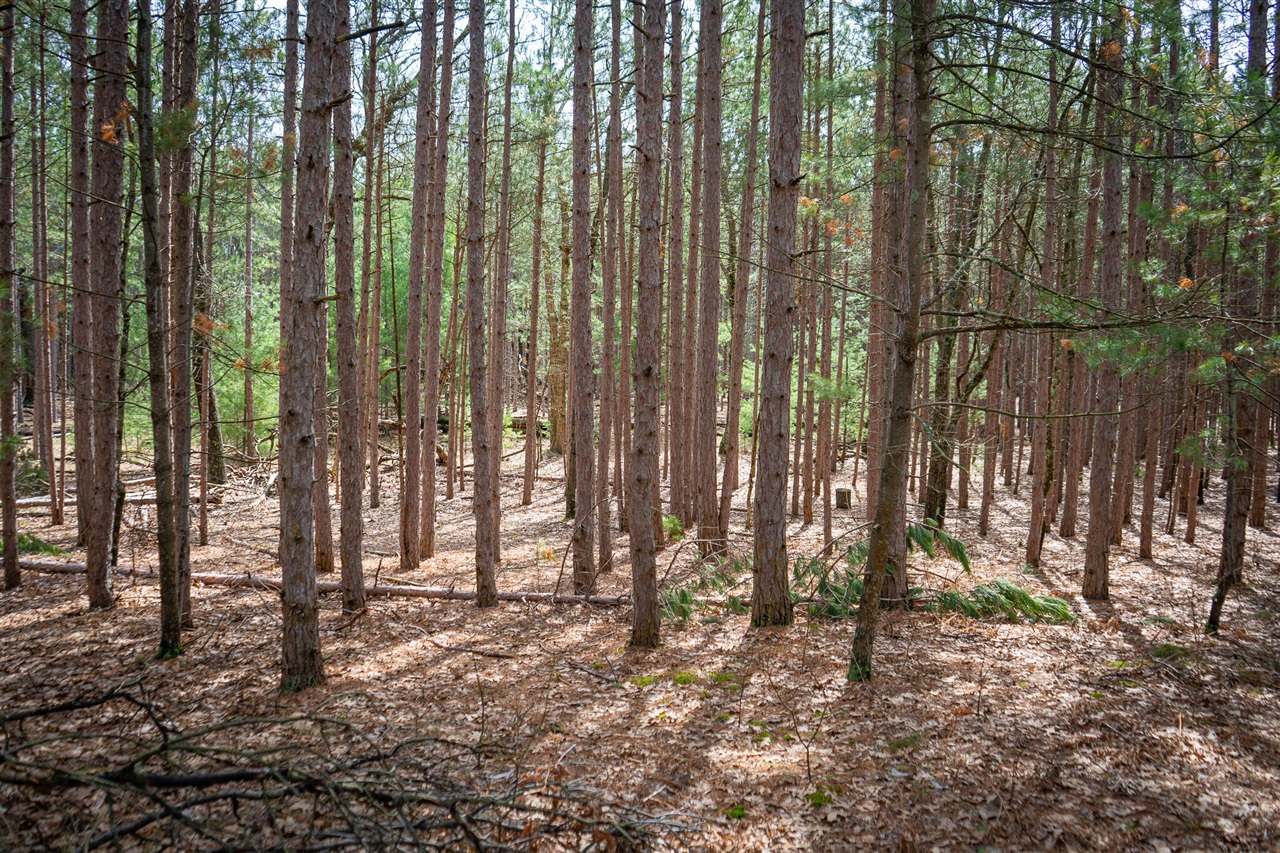 V/L Hyde Park Road, Whitehall, MI, 49461